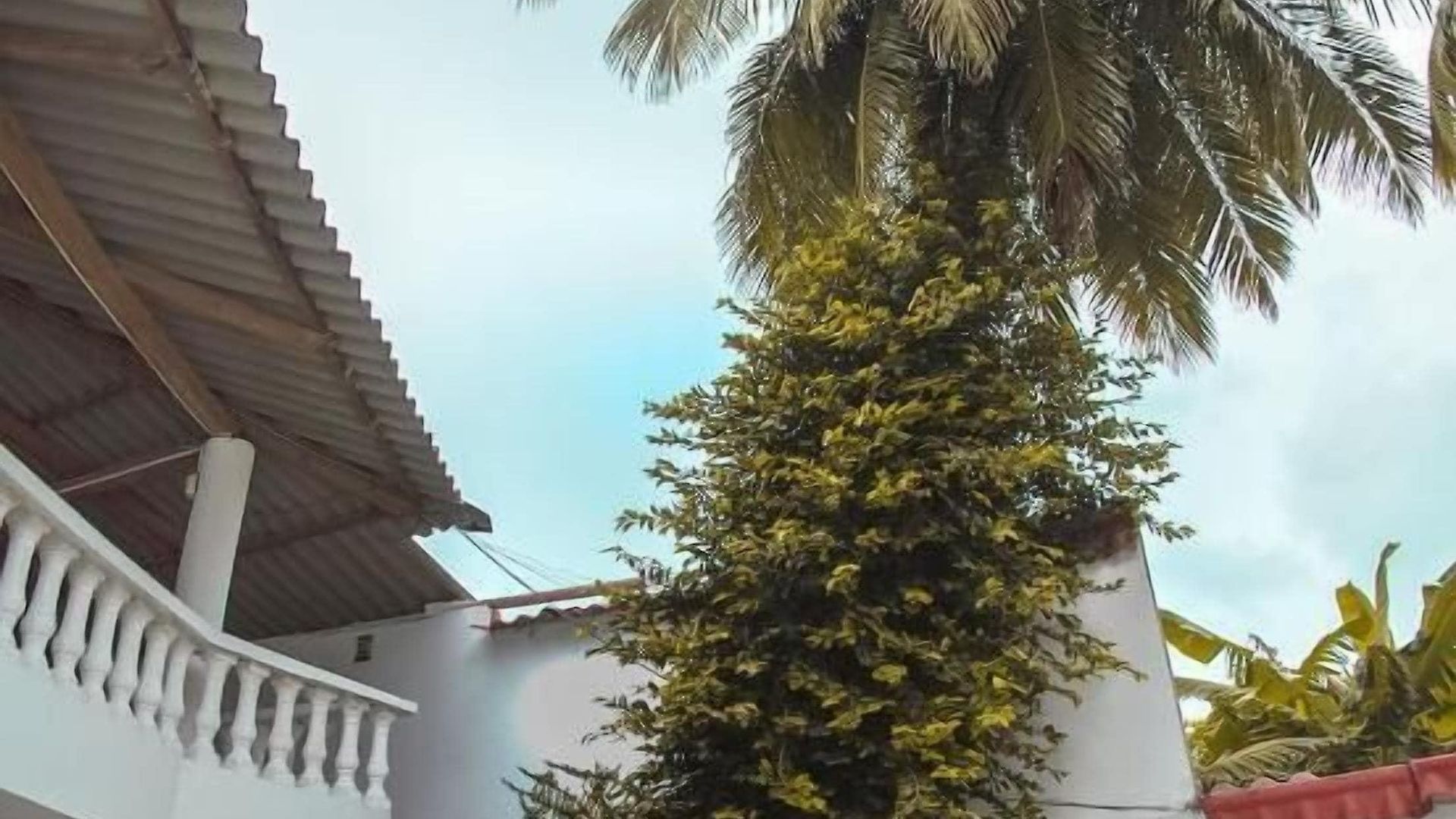 Boquilla By Geh